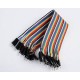 40pcs in Row Dupont Cable 20cm 2.54mm male