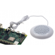 Raspberry pie speaker 